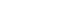 New Generation Of Studies in France